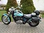 Shadow 1100-Silli